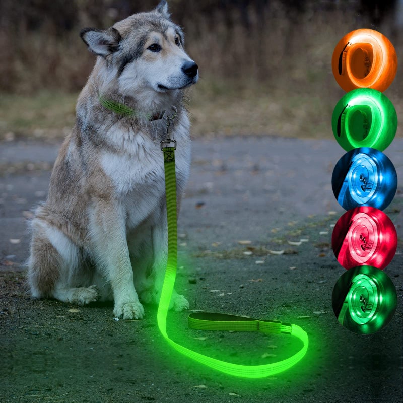 Candofly Glowing LED Dog Leash, Rechargeable Pet Leash with Lights, 4 Ft Light Up Dog Leash for Night Walking Keep Your Pets Visible (Neon Green) - Image 1